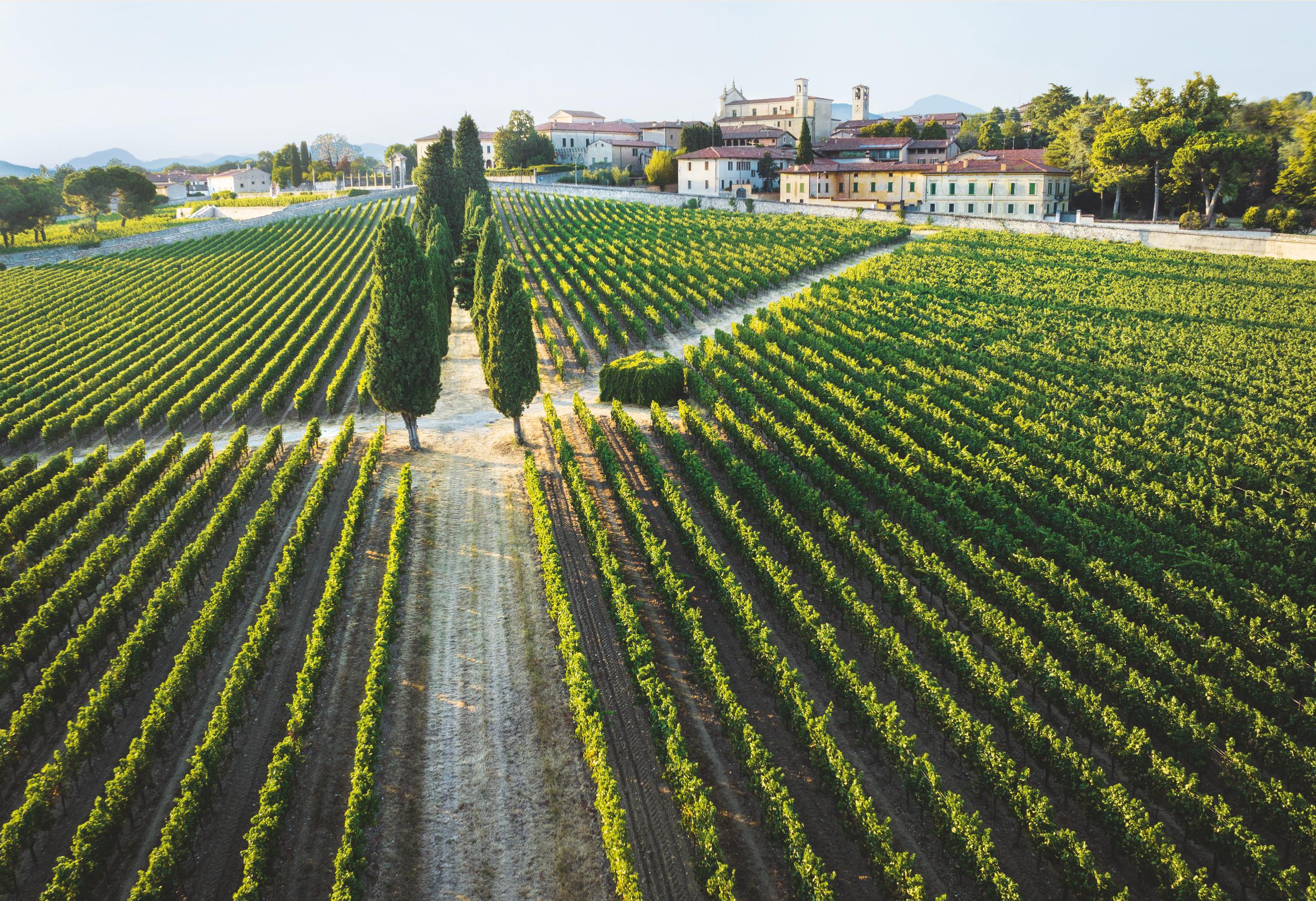 CHIC & SPARKLE ESCAPE